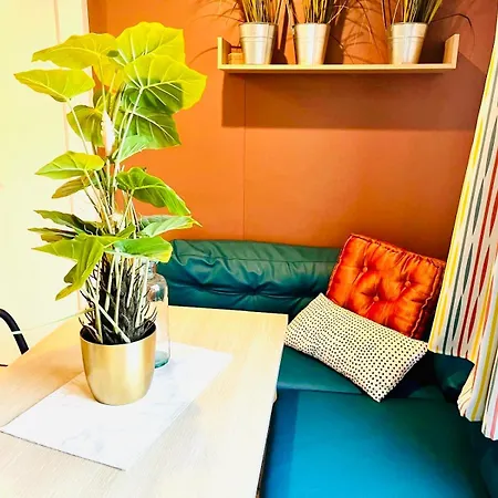 Stella Am 2 * Bayerham