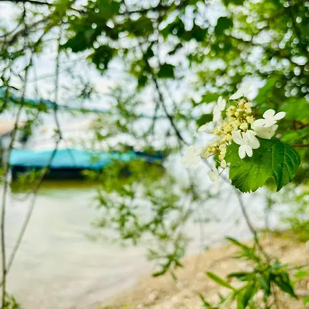 Stella Am 2 公寓 Bayerham