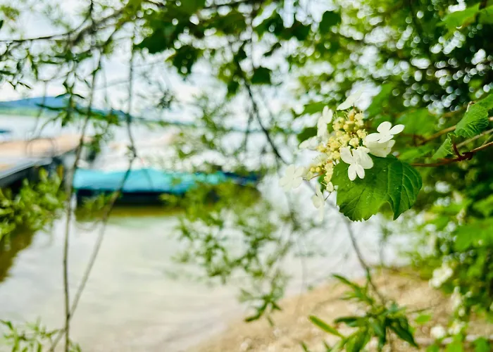 Stella Am 2 아파트 Bayerham